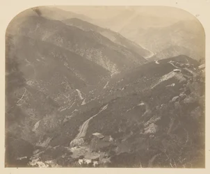 Josephine e Pino