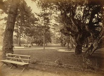 [Monterey, California. Hotel Del Monte, Lawn View.]