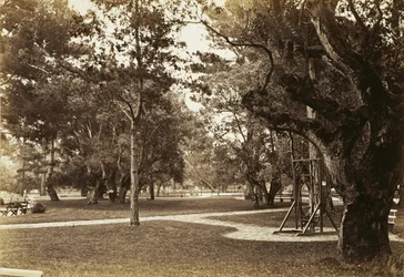 [Parco vicino all