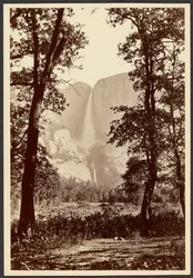 Cascate dello Yosemite