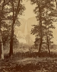 [Cascate Yosemite viste dal basso]