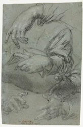 Studi di mani (recto)