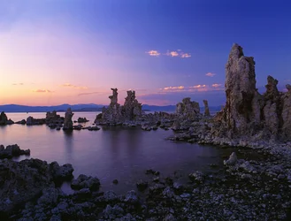 Lago Mono, 2013