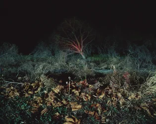 Dipingere al buio, 2011