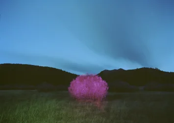 Pittura al buio, 2015