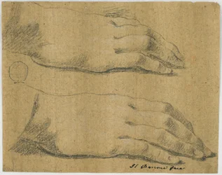 Studio: Due mani destre, di una donna