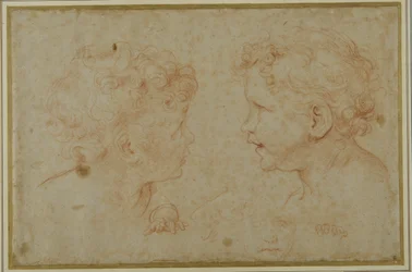 Studi della testa e della mano sinistra di un putto