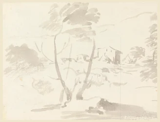 Schizzo di alberi in un paesaggio