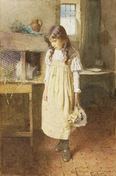 Il coniglio domestico