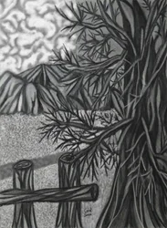 Disegno al carboncino digitale 2
