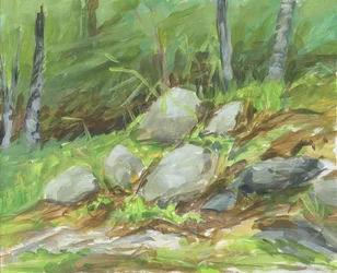 Le rocce della Foresta Verde