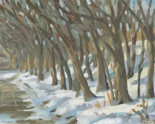 Alberi innevati lungo la riva del fiume