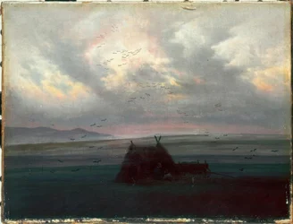 Banchi di nebbia