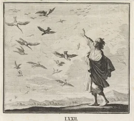 Emblema: uccelli