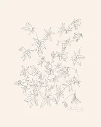 Studio botanico dei fiori