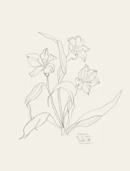 Elegante disegno floreale in stile line art