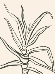 Schema minimalista delle piante
