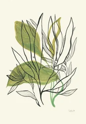 Foglie botaniche moderne