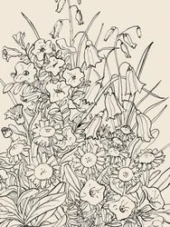 Fiori selvatici