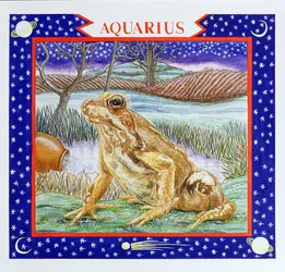 Acquario