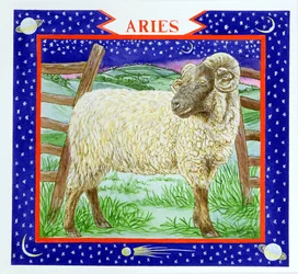Ariete