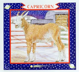 Capricorno