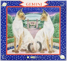 Gemelli
