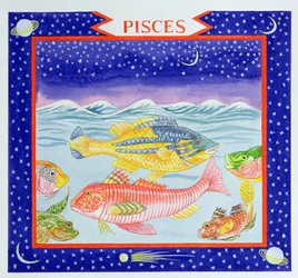 Pesci