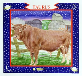 Toro