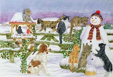 Il pupazzo di neve e i suoi amici