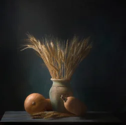 Il raccolto del grano dorato