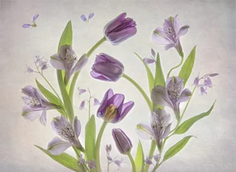 Fiori viola tenui