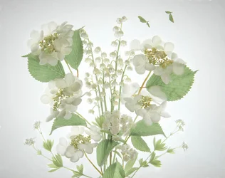 Bouquet "White Lily Valley"