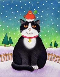 Gatto con Pettirosso