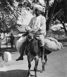 Il lavandaio, India, fine XIX o inizio XX secolo