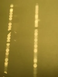 Composizione - Luce, 2019 (foto)
