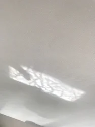 Composizione - Riflessioni, 2019 (foto)