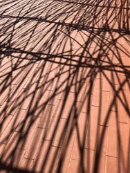 Composizione - Ombre, 2021