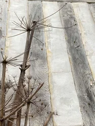 Composizione, Architettura 2022 (foto)
