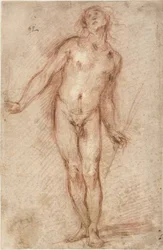 Nudo maschile in piedi