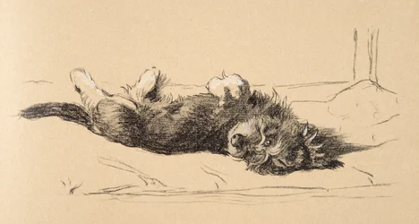 Cucciolo di Bassotto Ruvido (dettaglio), 1930, Illustrazioni dal suo Sketch Book usato per Just Among Friends, Aldin, Cecil Charles Windsor (1870-1935), successivamente pubblicato da Eyre and Spottiswoode Limited, 1934