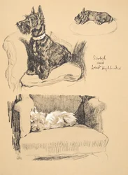 Scozzese e Highlander Occidentale, 1930, Illustrazioni dal suo Sketch Book usato per Just Among Friends, Aldin, Cecil Charles Windsor (1870-1935), successivamente pubblicato da Eyre and Spottiswoode Limited, 1934