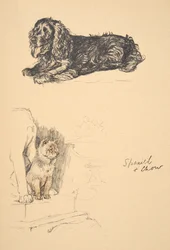 Spaniel e Chow, 1930, Illustrazioni dal suo Sketch Book usato per Just Among Friends, Aldin, Cecil Charles Windsor (1870-1935), successivamente pubblicato da Eyre and Spottiswoode Limited, 1934