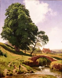 Anatre sotto il ponte