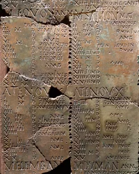 Calandra su lastre di bronzo, da Coligny