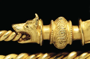 Fibula di guerriero La Tène altamente importante, (dettaglio)
