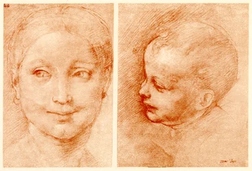 Studi di teste