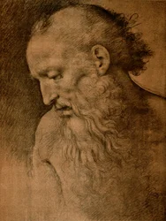 Testa di San Girolamo