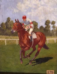 Cavallo da corsa