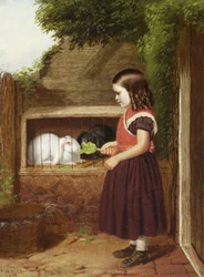 Nutrire i conigli, 1868